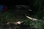 Camp 2011 (3194)